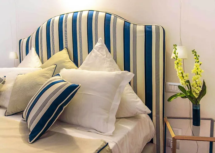 蝶齐赛迪奇住宿加早餐旅馆 招待所