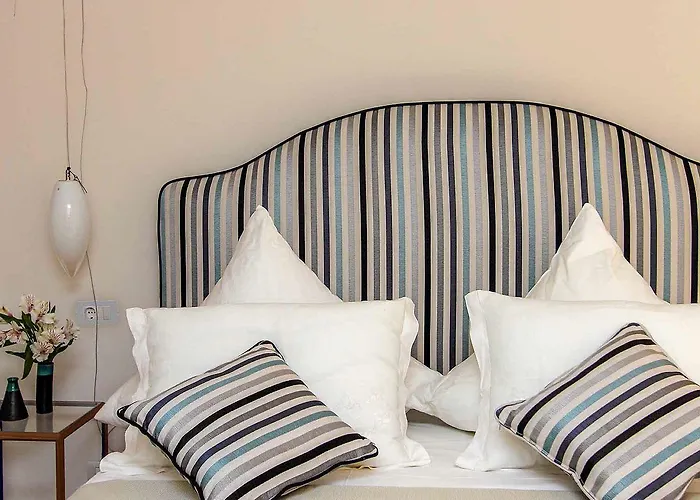 蝶齐赛迪奇住宿加早餐旅馆 招待所 4*