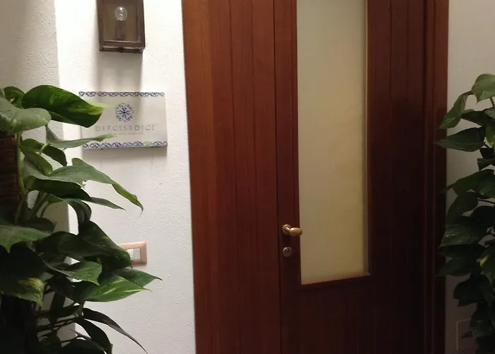 蝶齐赛迪奇住宿加早餐旅馆 招待所 4*