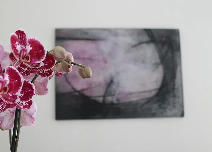 Diecisedici أمالفي